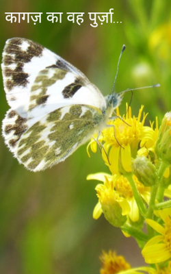 कागज़ का वह पुर्ज़ा...