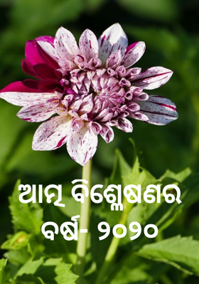 ଆତ୍ମ ବିଶ୍ଳେଷଣର ବର୍ଷ ୨୦୨୦