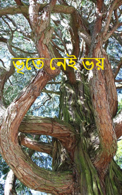 ভূতে নেই ভয়