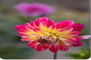 मनुष्य को अपनी प्रत्येक भूल से कुछ ना कुछ अवश्य सीखना चाहिए |
    
     शालिनी राय✍