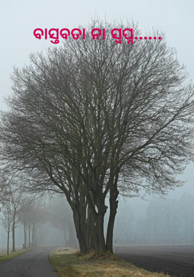 ବାସ୍ତବତା ନା ସ୍ବପ୍ନ......