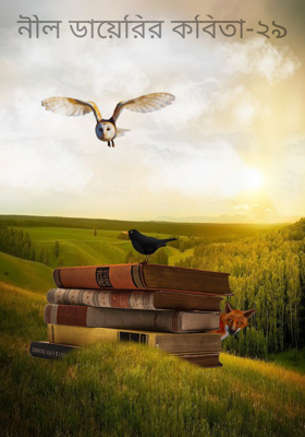 নীল ডায়েরির কবিতা-২৯