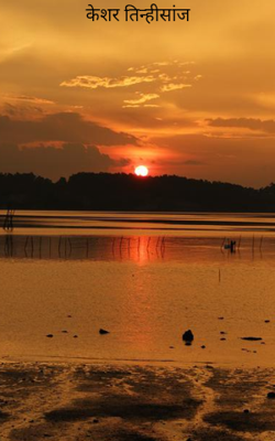 केशर तिन्हीसांज