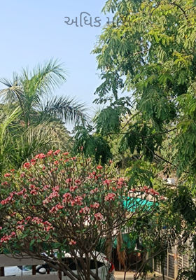 અધિક માસ