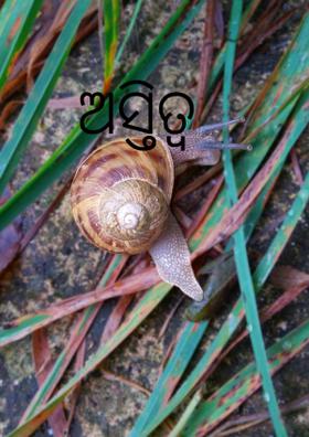 ଅସ୍ତିତ୍ୱ