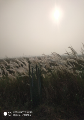 କାଶତଣ୍ଡୀ ର କ୍ଷୋଭ