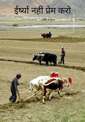 ईर्ष्या नहीं प्रेम करो