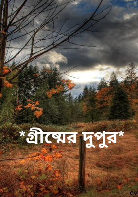 *গ্রীষ্মের দুপুর*