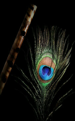 हरीनाम सोहळा