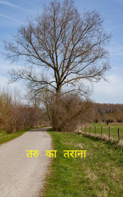 तरु का तराना