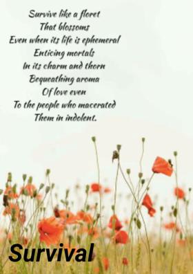Survival