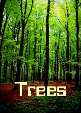 Trees