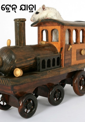 ଟ୍ରେନ୍ ଯାତ୍ରା