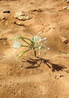 09 अजब गजब