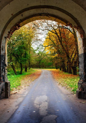 सच्चा शिक्षक 