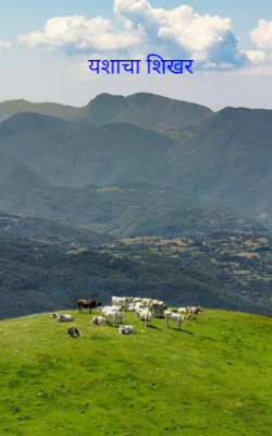 यशाचा शिखर