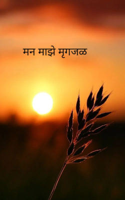 मन माझे मृगजळ