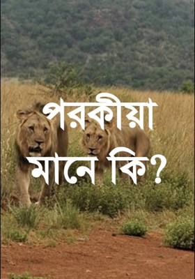 পরকীয়া মানে কি?