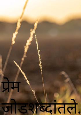 प्रेम जोडशब्दांतले.....