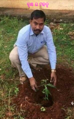 ବୃକ୍ଷ ର ମହତ୍ବ