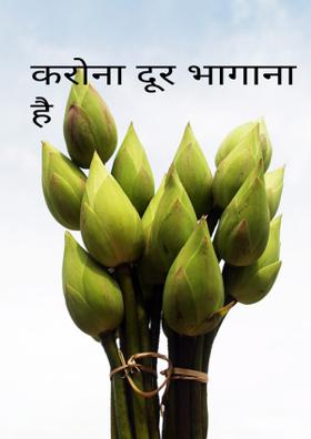 करोना दूर भगाना है
