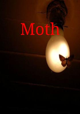 Moth