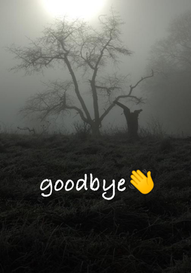 Goodbye
