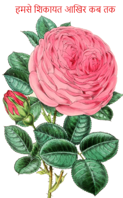                                                      हमसे शिकायत आखिर कब तक