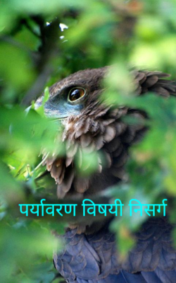 पर्यावरणविषय़ी निसर्ग