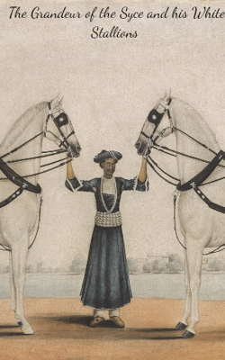 The Grandeur of the Syce and his White Stallions