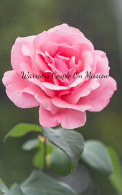 My College life just imagination