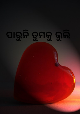 ପାରୁନି ତୁମକୁ ଭୁଲି