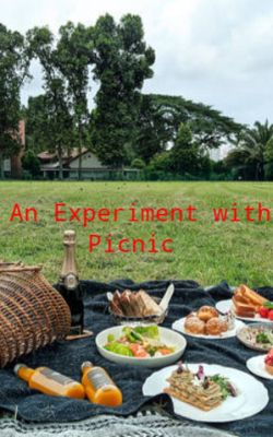 An Experiment With Picnic