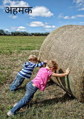 अहमक कौन