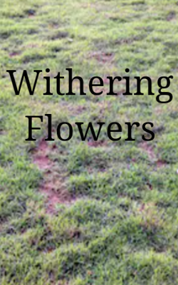 Withering Flowers