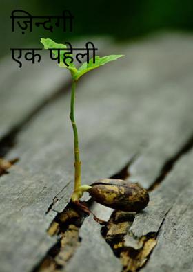 ज़िन्दगी एक पहेली