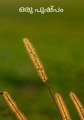 ഒരു പുഷ്പം 