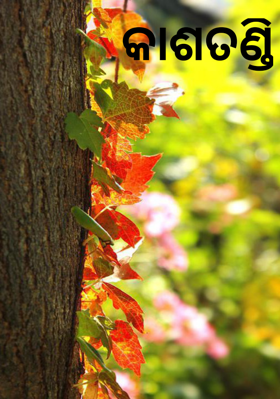 କାଶତଣ୍ଡି