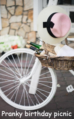 Pranky birthday picnic