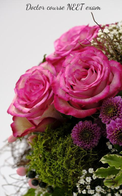 Doctor course NEET exam