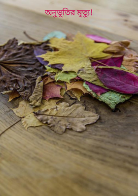 অনুভূতির মৃত্যু!