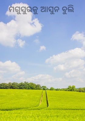 ମଗୁଶୁରକୁ ଆସୁନ ବୁଲି