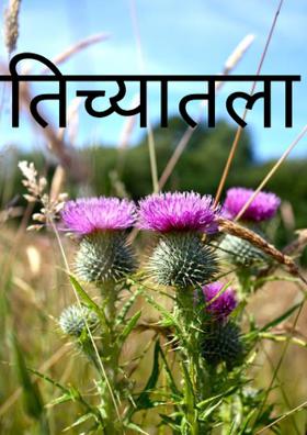 तिच्यातला तो...