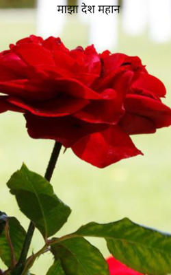 माझा देश महान