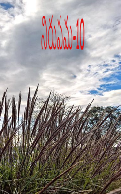 నిరుపమ-10