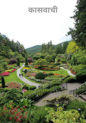 कासवाची