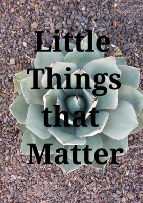 Little Things That Matter