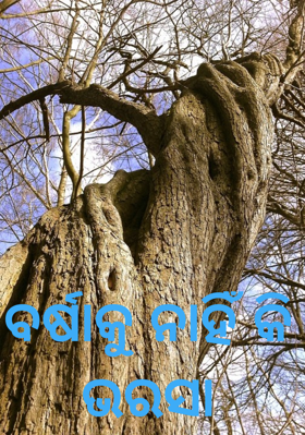 ବର୍ଷାକୁ ନାହିଁ କି ଭରସା