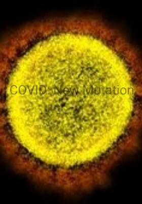 COVID: New Mutation