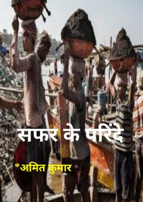 सफर कर परिंदे